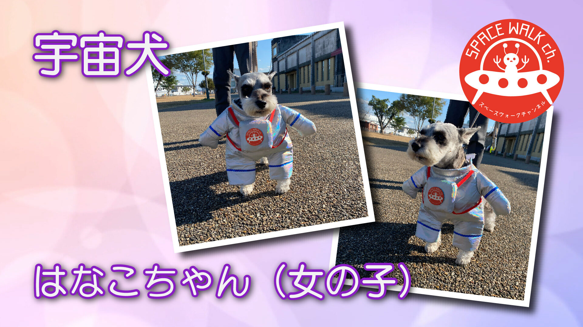 第2回宇宙犬はなこちゃん