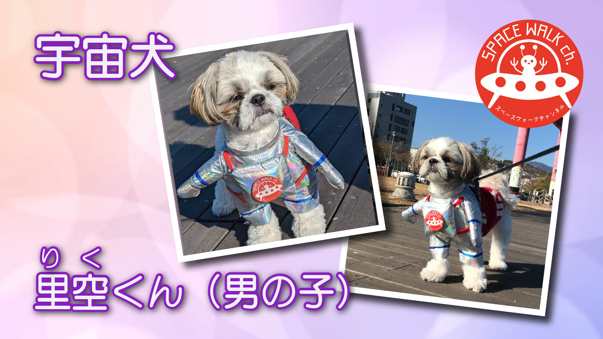 第3回宇宙犬里空くん