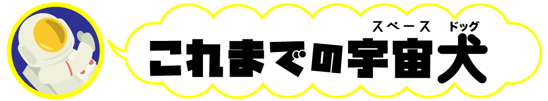 これまでのスペースドッグ